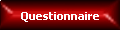 Questionnaire